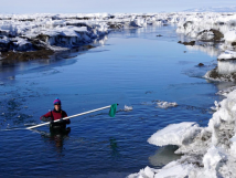 Student in River in Antarctica