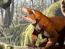 Prehistoric mammal found in Utah
