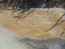 Stone submerged in irrigation canal with writing carved in it