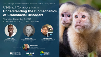US-Brazil Collaboration in Understanding the Biomechanics of Craniofacial Disorders