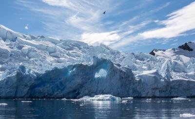 Antarctica photo