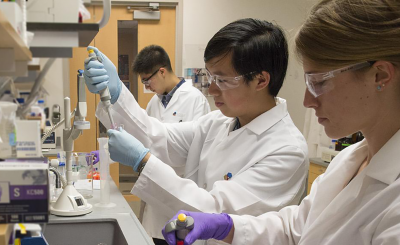 Students in a laboratory