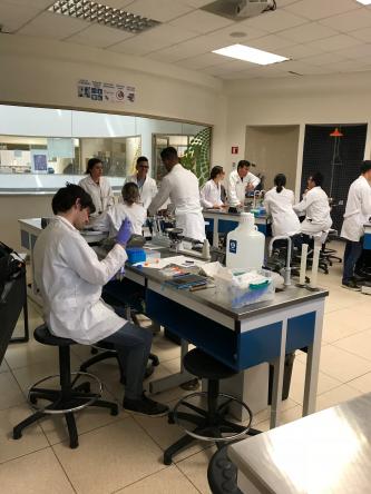 Students conducting research in a laboratory